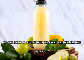 Hazır Limon Suyunun Zararları Nelerdir?