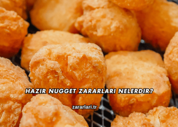 Hazır Nugget Zararları Nelerdir?