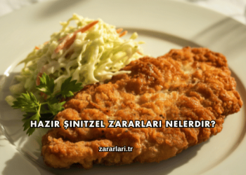 Hazır Şinitzel Zararları Nelerdir?