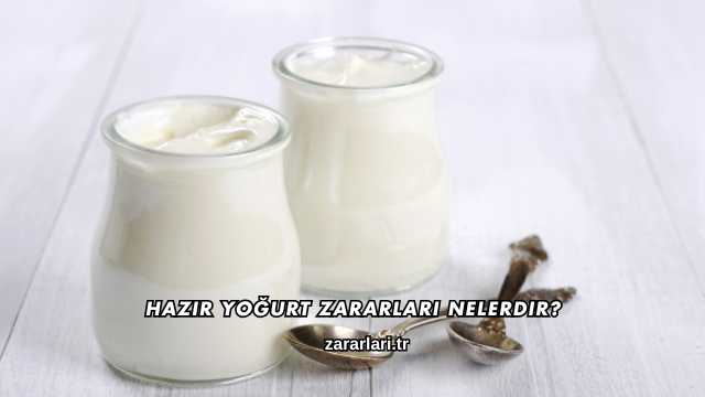Hazır Yoğurt Zararları Nelerdir?