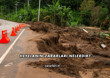 Heyelanın Zararları Nelerdir?