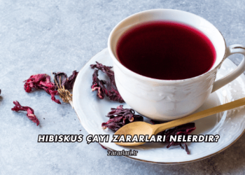 Hibiskus Çayı Zararları Nelerdir?