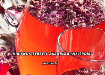 Hibiskus Şerbeti Zararları Nelerdir?
