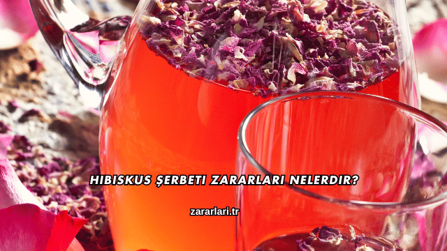Hibiskus Şerbeti Zararları Nelerdir?