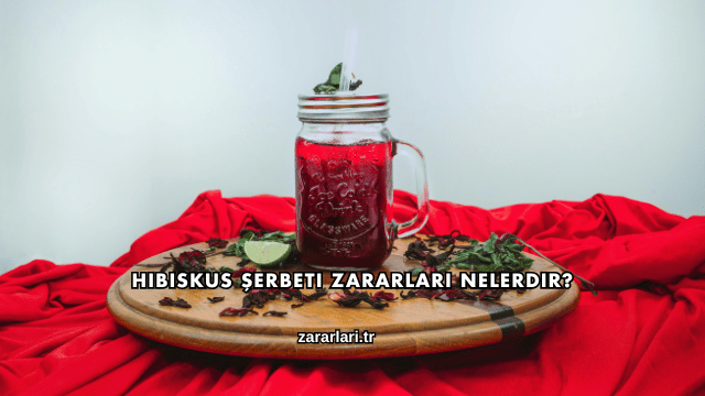 Hibiskus Şerbeti Zararları Nelerdir?