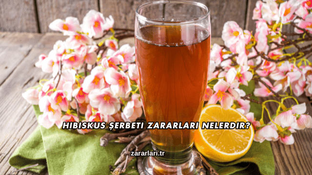 Hibiskus Şerbeti Zararları Nelerdir?