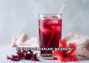 Hibiskus Zararları Nelerdir?