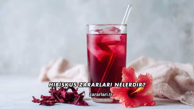 Hibiskus Zararları Nelerdir?
