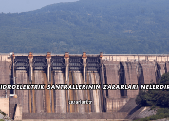 Hidroelektrik Santrallerinin Zararları Nelerdir?