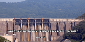 Hidroelektrik Santrallerinin Zararları Nelerdir?