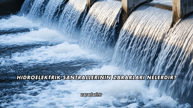 Hidroelektrik Santrallerinin Zararları Nelerdir?