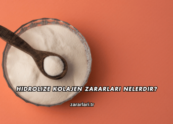 Hidrolize Kolajen Zararları Nelerdir?