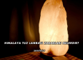 Himalaya Tuz Lambası Zararları Nelerdir?