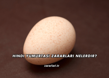 Hindi Yumurtası Zararları Nelerdir?