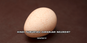 Hindi Yumurtası Zararları Nelerdir?
