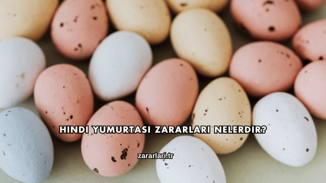 Hindi Yumurtası Zararları Nelerdir?