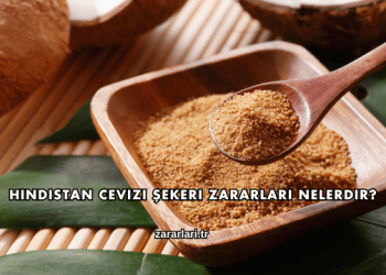 Hindistan Cevizi Şekeri Zararları Nelerdir?