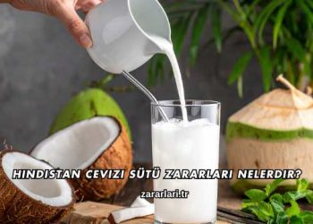 Hindistan Cevizi Sütü Zararları Nelerdir?
