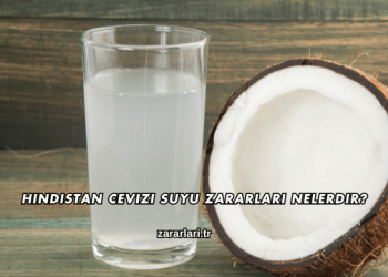 Hindistan Cevizi Suyu Zararları Nelerdir?