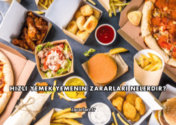 Hızlı Yemek Yemenin Zararları Nelerdir?