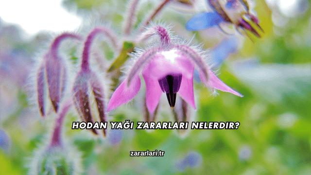 Hodan Yağı Zararları Nelerdir?