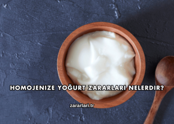 Homojenize Yoğurt Zararları Nelerdir?