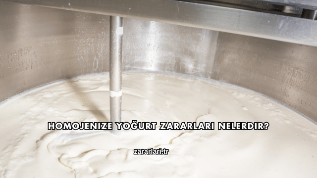 Homojenize Yoğurt Zararları Nelerdir?