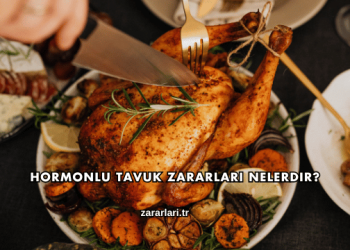 Hormonlu Tavuk Zararları Nelerdir?