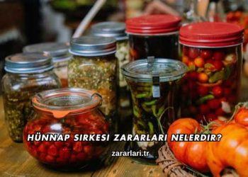 Hünnap Sirkesi Zararları Nelerdir?