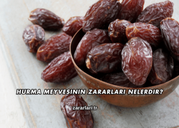 Hurma Meyvesinin Zararları Nelerdir?