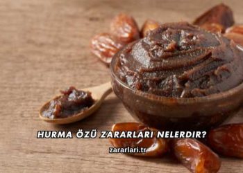 Hurma Özü Zararları Nelerdir?