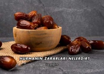 Hurmanın Zararları Nelerdir?