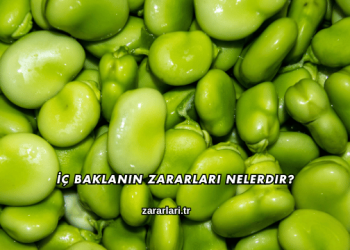 İç Baklanın Zararları Nelerdir?