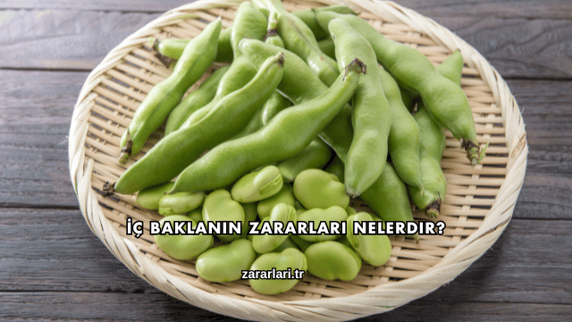 İç Baklanın Zararları Nelerdir?