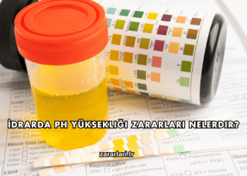 İdrarda pH Yüksekliği Zararları Nelerdir?