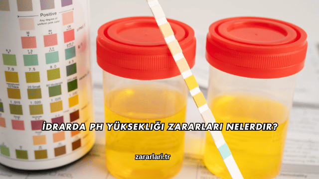 İdrarda pH Yüksekliği Zararları Nelerdir?