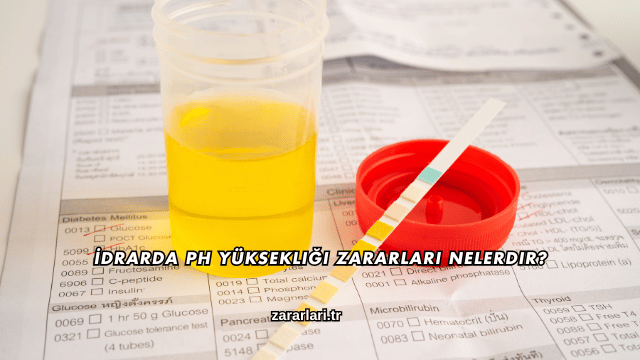 İdrarda pH Yüksekliği Zararları Nelerdir?