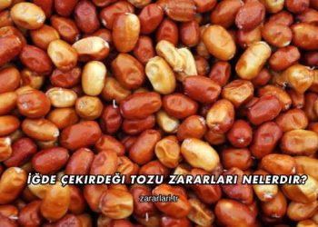 İğde Çekirdeği Tozu Zararları Nelerdir?