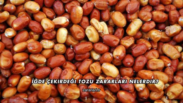İğde Çekirdeği Tozu Zararları Nelerdir?