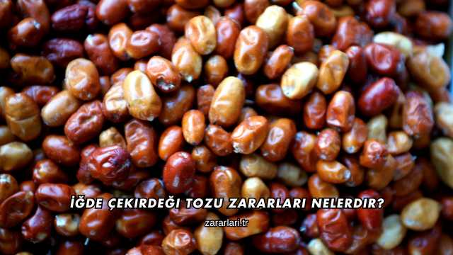 İğde Çekirdeği Tozu Zararları Nelerdir?