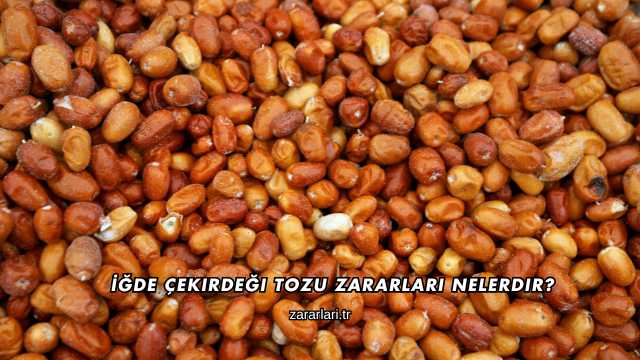 İğde Çekirdeği Tozu Zararları Nelerdir?