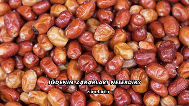 İğdenin Zararları Nelerdir?