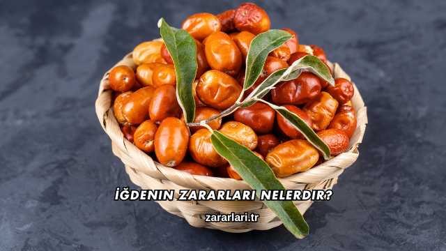 İğdenin Zararları Nelerdir?
