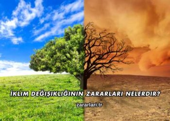 İklim Değişikliğinin Zararları Nelerdir?