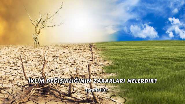 İklim Değişikliğinin Zararları Nelerdir?