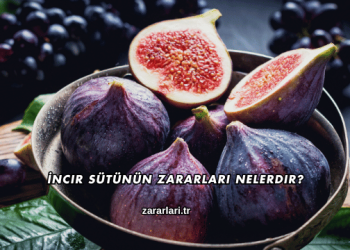 İncir Sütünün Zararları Nelerdir?