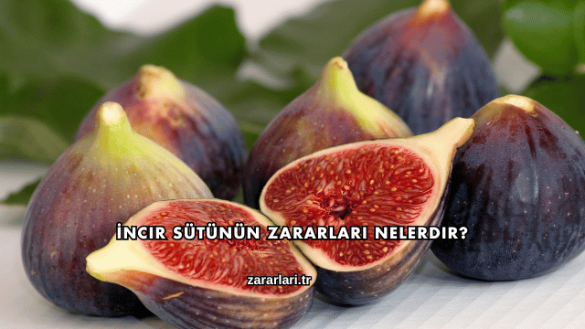 İncir Sütünün Zararları Nelerdir?