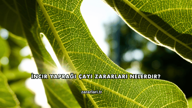 İncir Yaprağı Çayı Zararları Nelerdir?