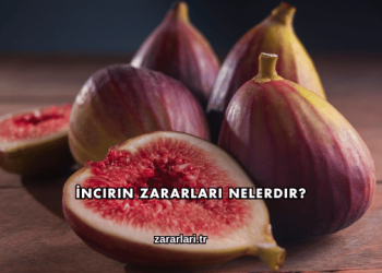 İncirin Zararları Nelerdir?