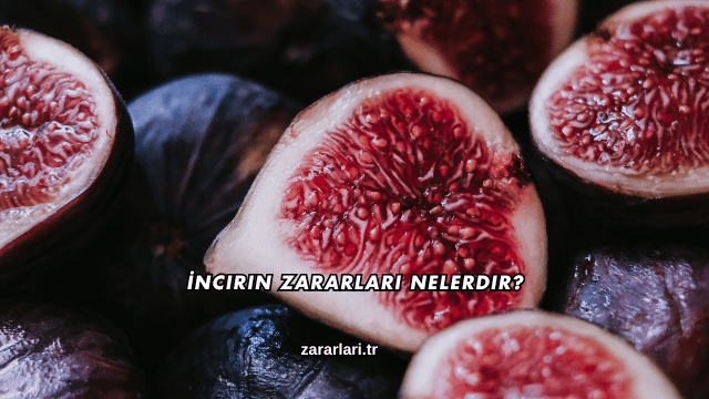 İncirin Zararları Nelerdir?
